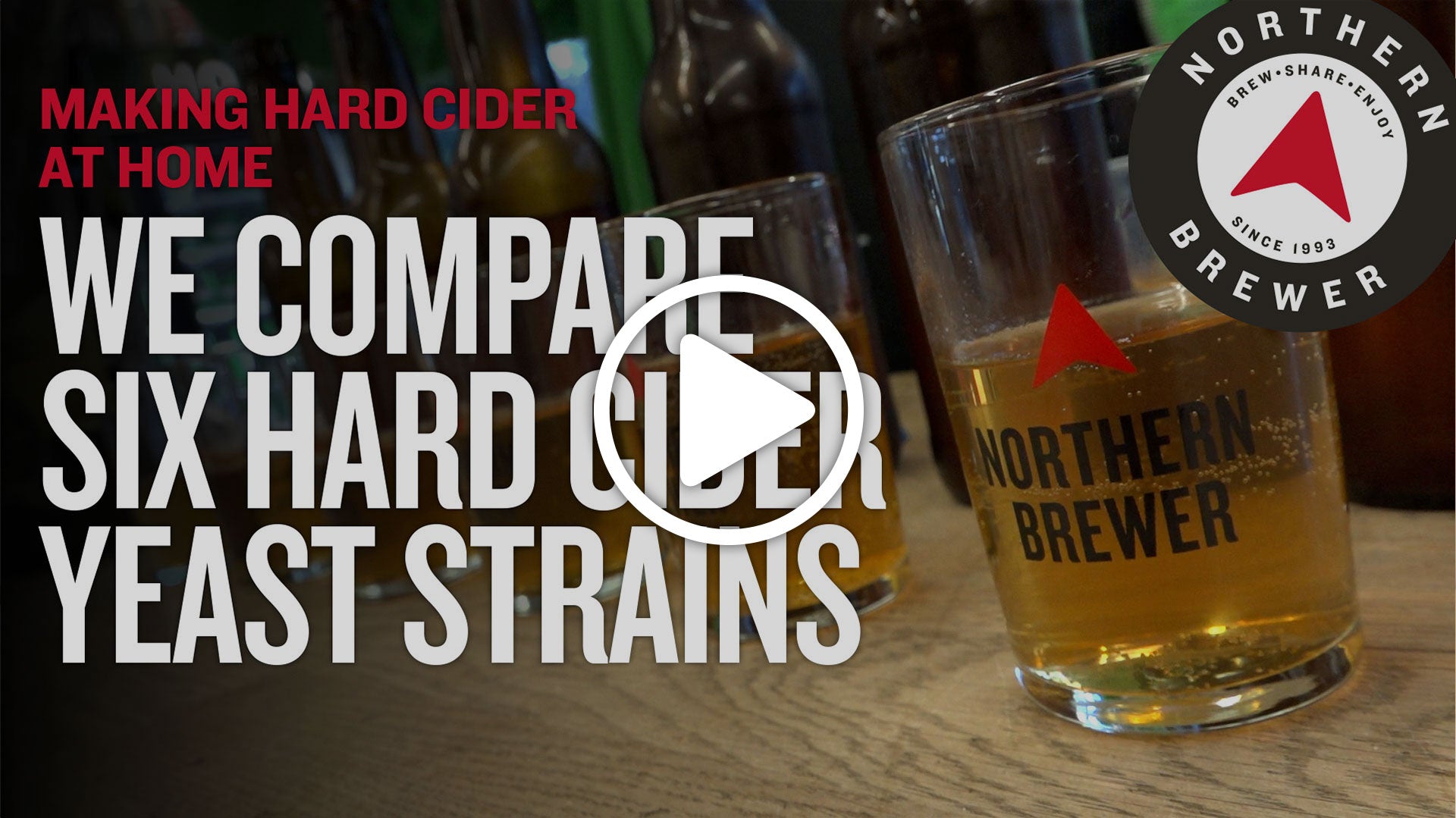 Comparing Yeast Strains for Hard Cider