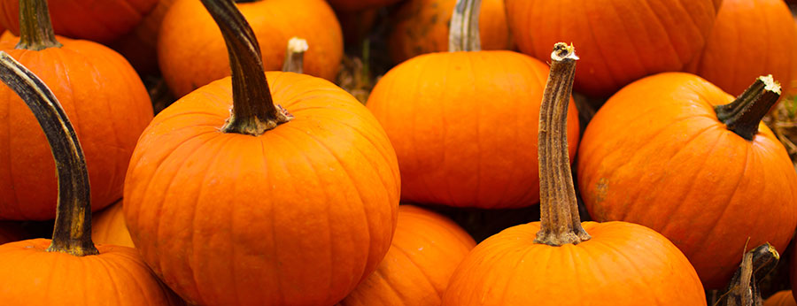 How to Make Smashing Pumpkin Ale with Real Pumpkin