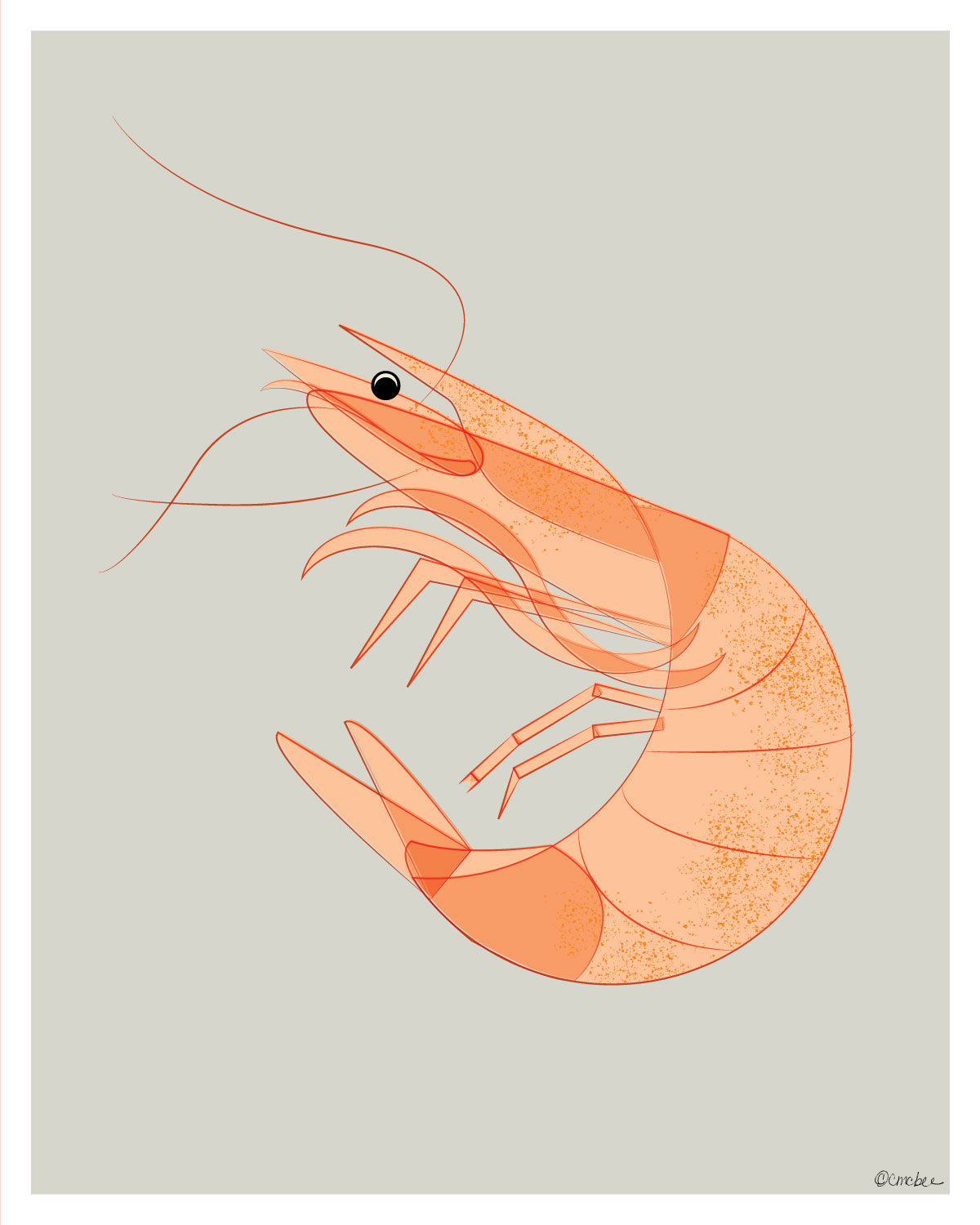 cooked shrimp clipart border