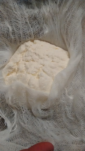 Freshly made Paneer