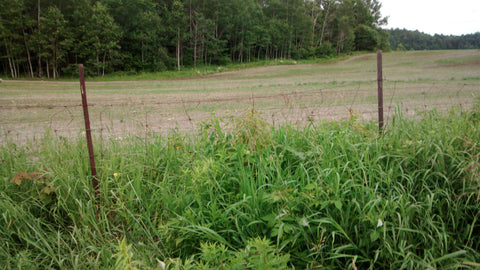 Harvesting T-Posts