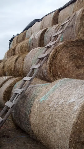 Hay Bale Stack with Ladder