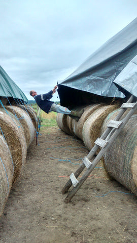 Pulling Tarp Over Hay Stack
