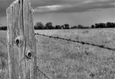 Grazing Post Fence Post