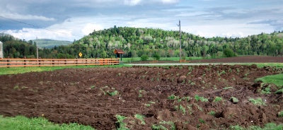 Tilled Lawn