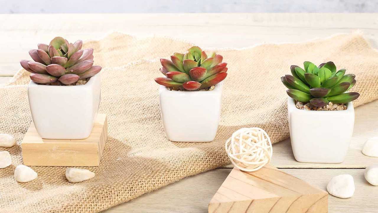 3 pcs 3" Assorted Artificial Faux Realistic Small Echeveria Succulent Plants with Pots | BalsaCircle.com