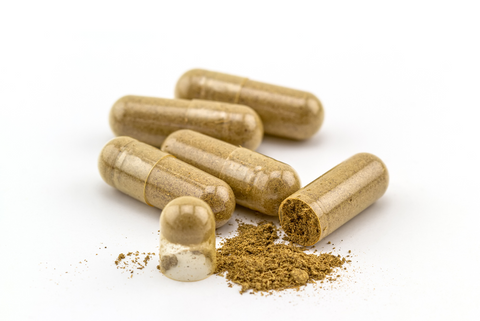 Natural Herbal Erection Support Supplements