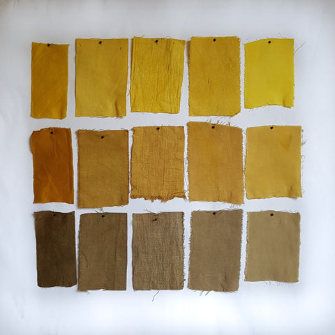 Osage Orange Dye Samples