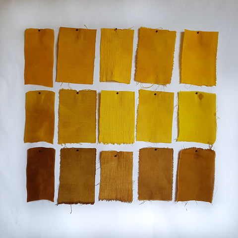 Turmeric Dye Samples