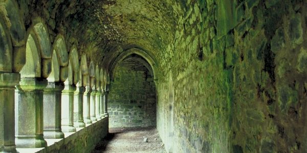 Mossy walls of an ancient monastery in Ireland.