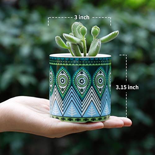 Cute Mandalas Style Ceramic Succulent Cactus Flower Plant Pots with Bamboo Blue