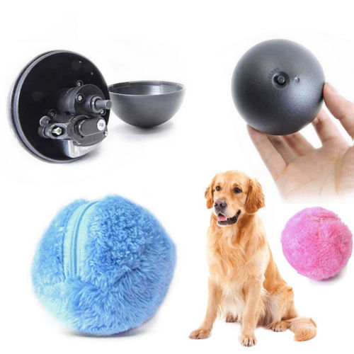 moving ball dog toy