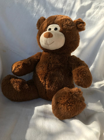 Chiropractic Teddy Bear with Clickable and Adjustable Spine