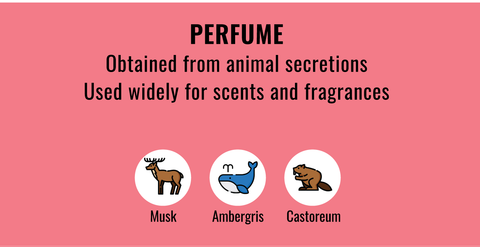 List of typical animal derived Perfumes in cosmetics to stay away from if you're vegan