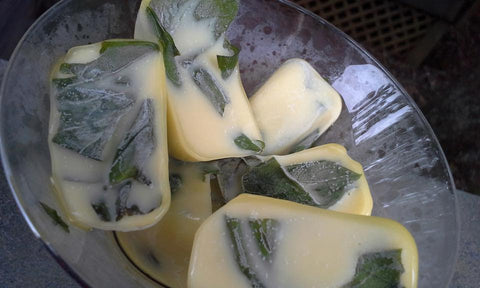 Iced Herb Cubes