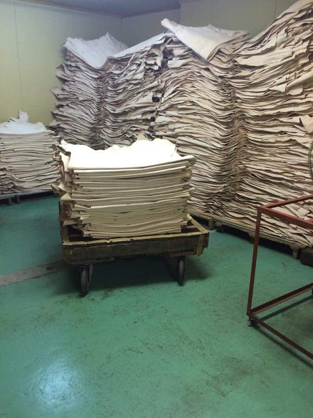 horsehides curing for one year