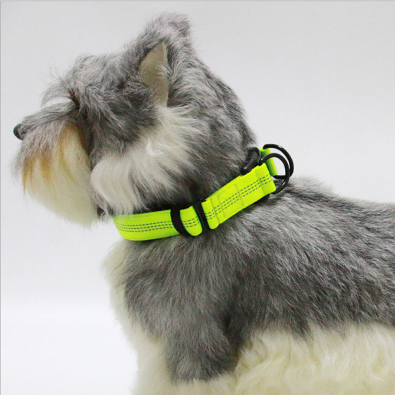 

Zgardă model nou pentru animalul de companie, zgardă reflectorizantă din nylon pentru câine