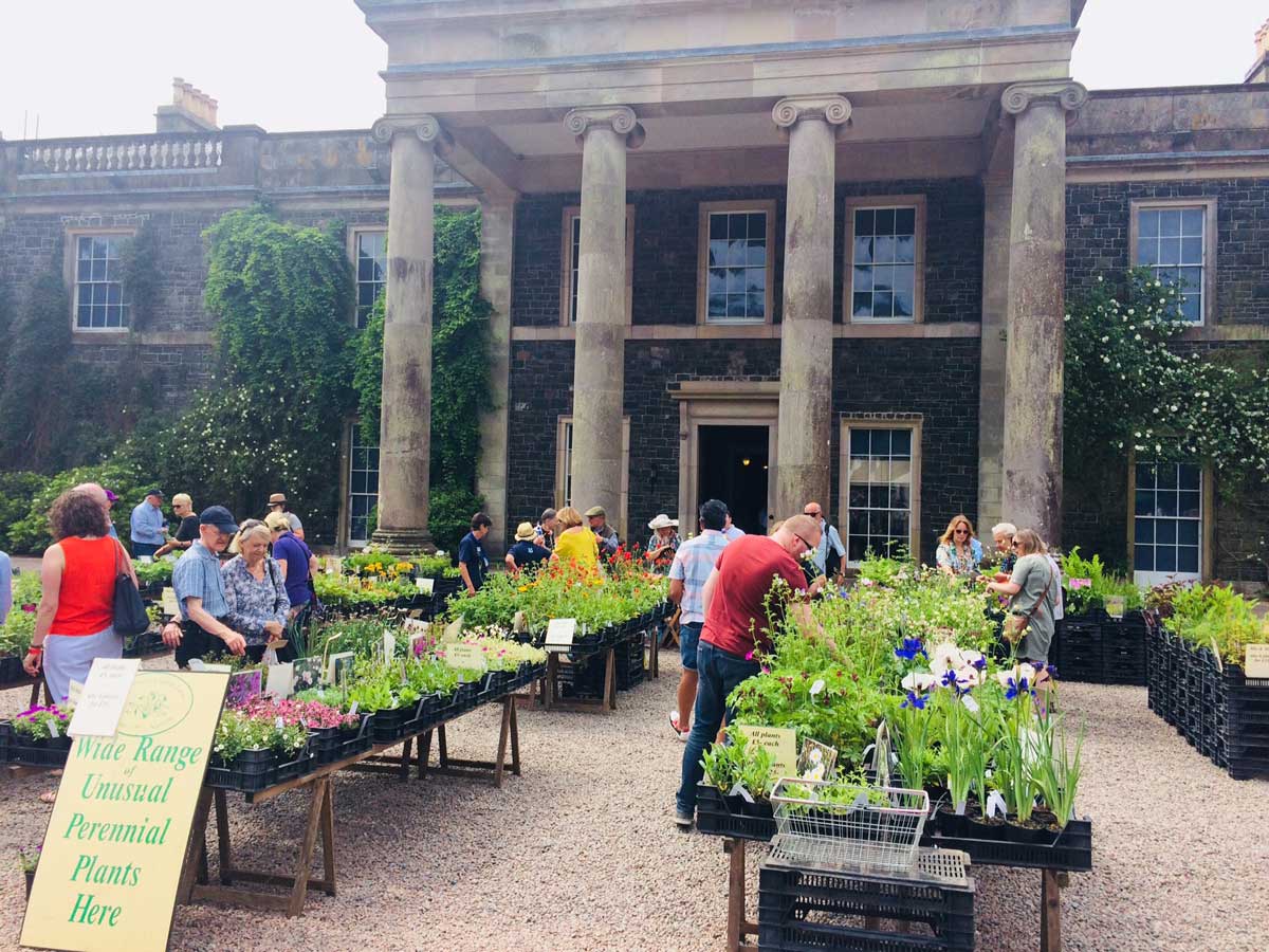 Unusual Perennial Plants at Mount Stewart