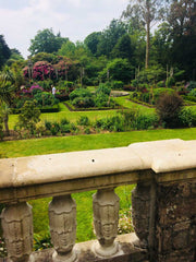 View from Mount Stewart