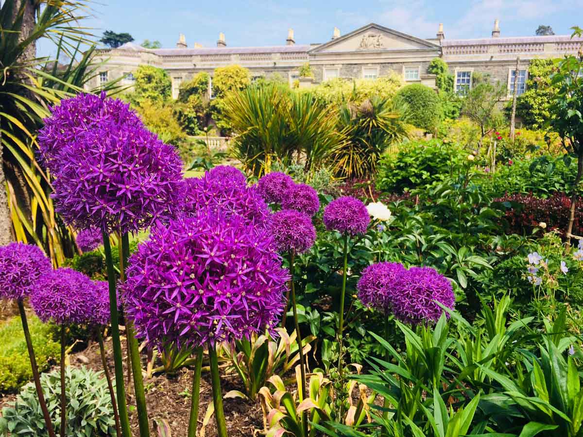 Gardens at Mount Stewart