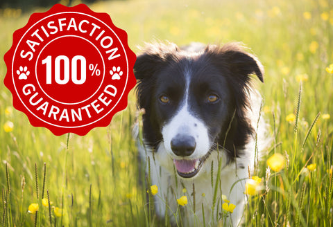 dog balm guarantee