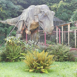 Dinousaurs