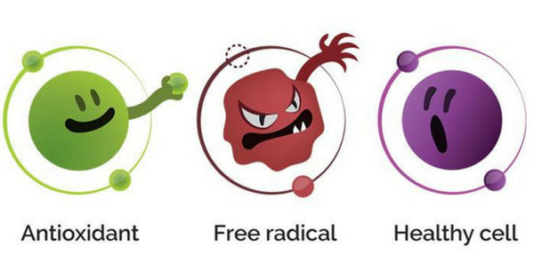 Antoxidants and Free Radicals