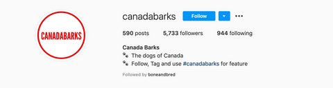 instagram account CanadaBarks for IG dog features