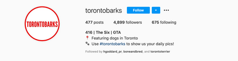 Toronto instagram dog feature account called Toronto Barks