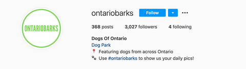 ontario instagram dog feature account called Ontario Barks