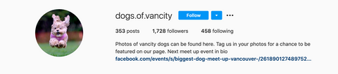 Vancouver instagram dog feature account called Dogs of Vancity
