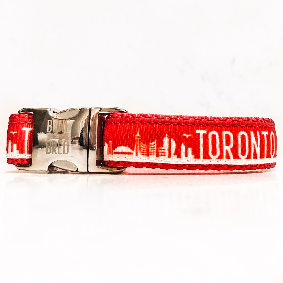 dog collars toronto