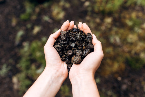 hand holding small volcanic stones