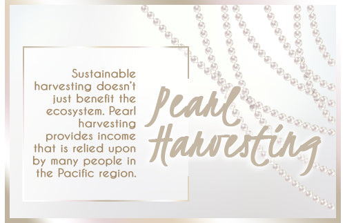 pearl harvesting graphic