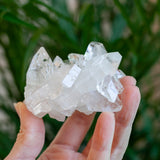 High Quality Apophyllite Crystal, Jalgaon