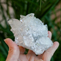 High Quality Apophyllite Crystal, Jalgaon