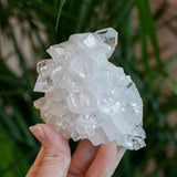 High Quality Apophyllite Crystal, Jalgaon