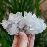 High Quality Apophyllite Crystal, Jalgaon