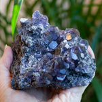 Indigo Fluorite from Fujian, Tanzanite Fluorite, Dodecahedral