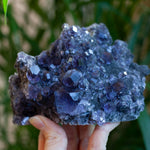 Indigo Fluorite from Fujian, Tanzanite Fluorite, Dodecahedral