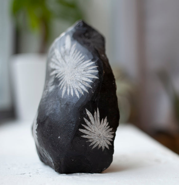 Natural Chrysanthemum Stone with Three Flowers