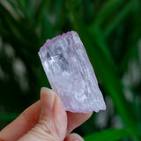 Kunzite Crystal, Self-Healed, Dichroic