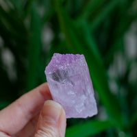 Kunzite Crystal, Self-Healed, Dichroic