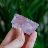 Kunzite Crystal, Self-Healed, Dichroic