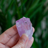 Kunzite Crystal, Self-Healed, Dichroic