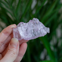 Kunzite Crystal, Self-Healed, Dichroic