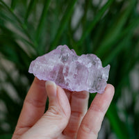 Kunzite Crystal, Self-Healed, Dichroic