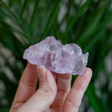 Kunzite Crystal, Self-Healed, Dichroic