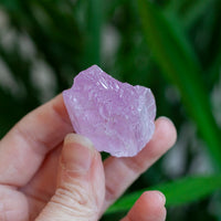 Kunzite Crystal, Self-Healed, Dichroic