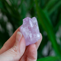 Kunzite Crystal, Self-Healed, Dichroic